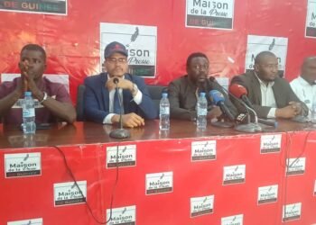 Lutte contre l&rsquo;insalubrité à Conakry : la structure « les patriotes  » s&rsquo;insurge contre les présidents des délégations spéciales