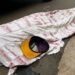 Ce mercredi 11 juin 2025, les habitants de Gbéssia Port 1, dans la commune de Matoto, ont découvert avec stupeur le corps d’une femme d’environ 31 ans, abandonné dans une ruelle du secteur 2.