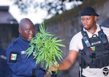LUTTE CONTRE LA DROGUE : LA BAC POURSUIT LA TRAQUE DES BANDOTS ET TRAFIQUANTS DE DROGUE