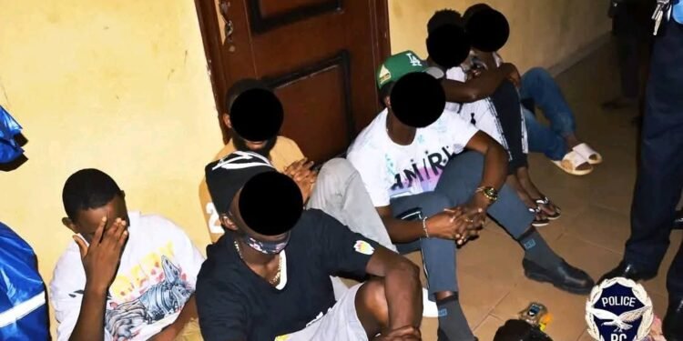 Ratoma : six interpellations et saisie de stupéfiants lors de l’opération « Ouragan »