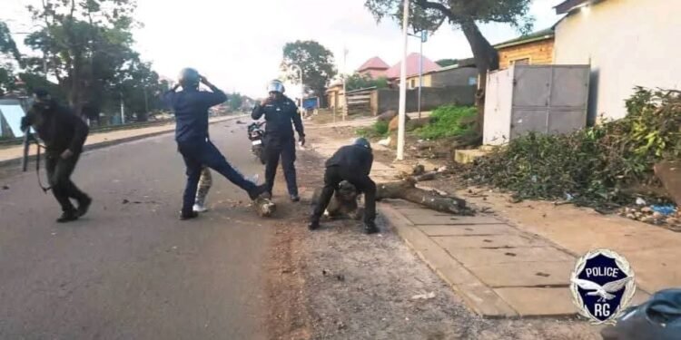 Opération « Ouragan » à Kaporo-Rail : 11 personnes interpellées, saisies de stupéfiants