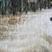 Météo : vigilance accrue face aux pluies annoncées en Guinée