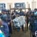 Forécariah : 186 kilos de chanvre indien saisis lors d’une opération policière à Moussayah