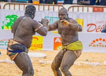 Sénégal : Vers la création officielle de la Fédération Sénégalaise de Lutte