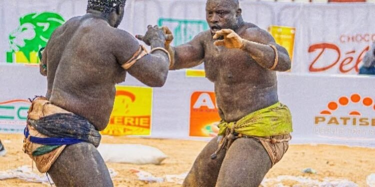 Sénégal : Vers la création officielle de la Fédération Sénégalaise de Lutte