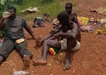 Kindia : inquiétude autour d’un groupe d’individus errants à Friguiagbé