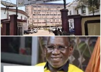 CRIEF – Dans l’œil du cyclone : Ahmed Kanté face à la justice pour la spoliation d’un projet minier national.