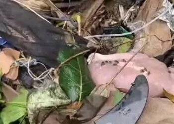 Kindia : découverte macabre d’un nouveau-né dans un cours d’eau