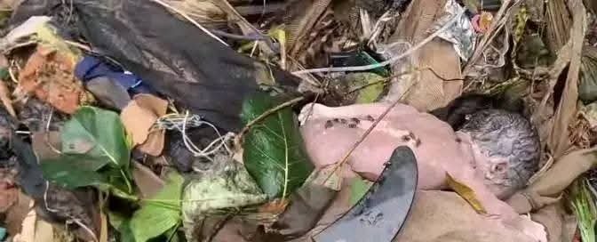 Kindia : découverte macabre d’un nouveau-né dans un cours d’eau