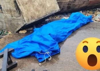 Port de Bonfi : un père de famille succombe après avoir consommé du kush