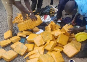 Kamsar : la police saisit 62 kg de chanvre indien lors d’une patrouille