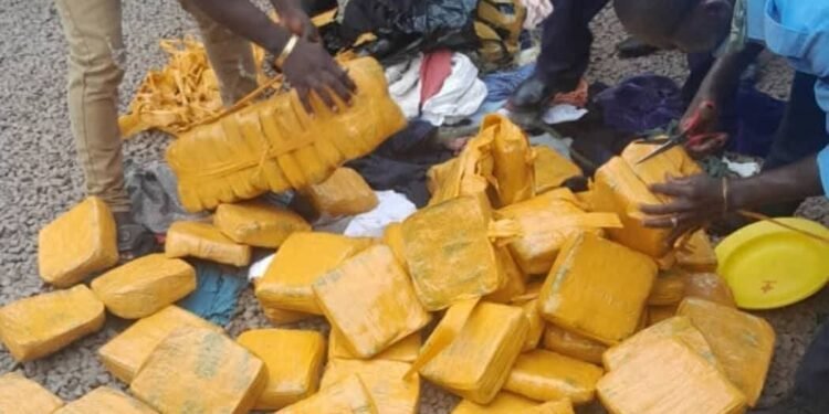 Kamsar : la police saisit 62 kg de chanvre indien lors d’une patrouille