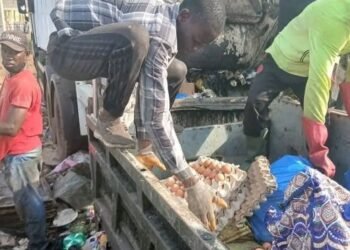 Conakry : une importante quantité d’œufs avariés découverte à la décharge du stade du 28-Septembre