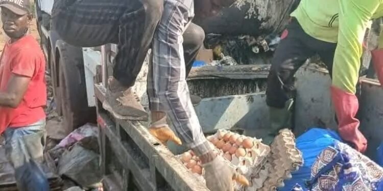 Conakry : une importante quantité d’œufs avariés découverte à la décharge du stade du 28-Septembre