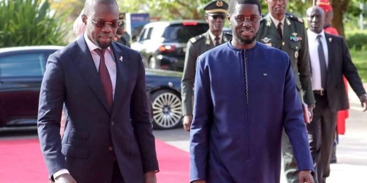 Diomaye–Sonko : un tandem sous tension après une alliance longtemps perçue comme indéfectible