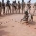 Niger : plusieurs terroristes neutralisés, dont un ressortissant français, après une attaque à Niamey