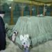 Iran : Ali Khamenei se recueille au mausolée de l’Imam Khomeini à la veille de l’anniversaire de la Révolution islamique