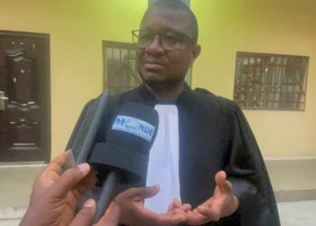 Affaire du Parc urbain de Conakry : l’avocat de la société VIDERI accuse Rio Tinto d’avoir trompé l’État