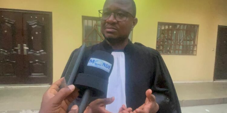 Affaire du Parc urbain de Conakry : l’avocat de la société VIDERI accuse Rio Tinto d’avoir trompé l’État