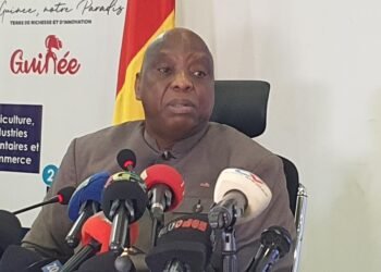 Expulsions et relations avec l’Allemagne : les autorités guinéennes appellent à une « pause » et au dialogue