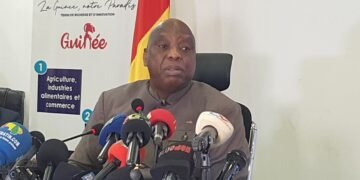 Expulsions et relations avec l’Allemagne : les autorités guinéennes appellent à une « pause » et au dialogue