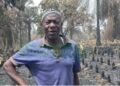 Kindia : un incendie ravage plusieurs hectares d’ananas, un entrepreneur agricole ruiné
