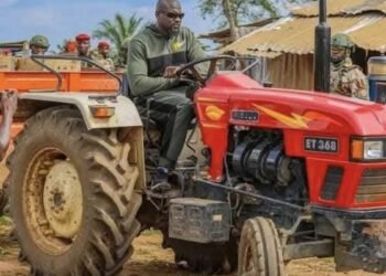 Agriculture : la Guinée accélère sa marche vers la souveraineté alimentaire
