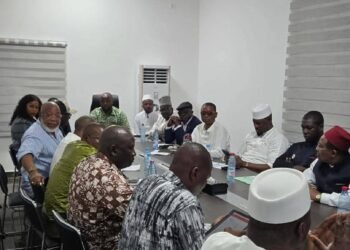 Élections législatives et communales : la GMD mobilise ses alliés à Kaloum