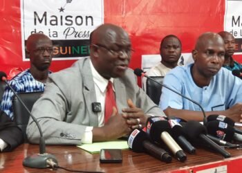 Double scrutin en Guinée : Dr Faya Millimono dénonce de graves irrégularités électorales.