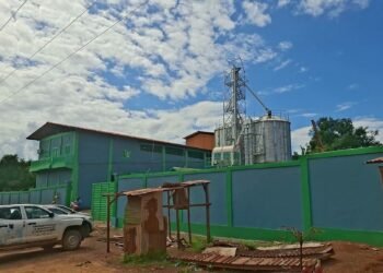 KANKAN : Une nouvelle usine de transformation du riz pour dynamiser l’économie locale