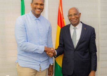 Diaspora guinéenne : le Premier ministre Amadou Oury Bah salue l&rsquo;engagement du député Charles D. Fall