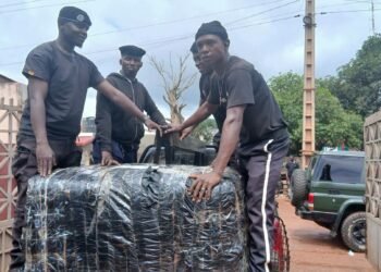 Kindia : plus de 150 kg de chanvre indien saisis lors d’un contrôle routier