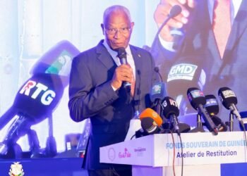 Fonds souverain de Guinée : le Premier ministre appelle à préserver la richesse nationale pour les générations futures