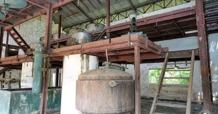 Sérédou : l’ancienne usine de transformation du quinquina à l’arrêt