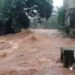 Conakry : le pont de Kobaya et plusieurs zones touchés par les inondations