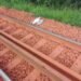 Kolaboui : un nouveau-né retrouvé sur les rails à Mansaliya, la mère présumée interpellée